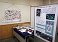 日本魚類学会設立50周年記念展示ポスター 展示風景⑧