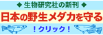 日本の野生メダカを守る